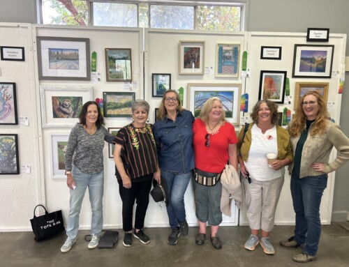 SCMAC Students Sweep Awards at the County Fair